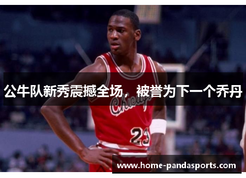 公牛队新秀震撼全场，被誉为下一个乔丹
