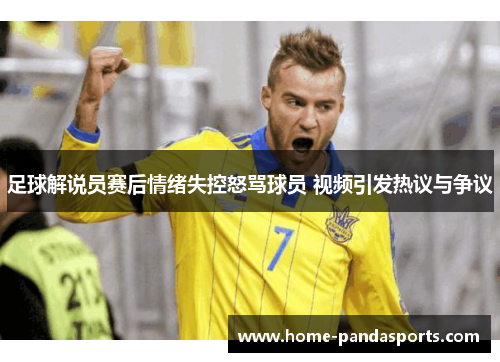 足球解说员赛后情绪失控怒骂球员 视频引发热议与争议