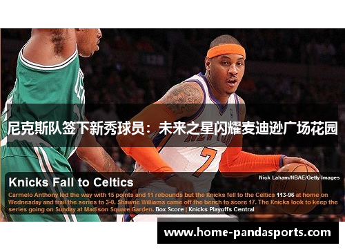 尼克斯队签下新秀球员：未来之星闪耀麦迪逊广场花园
